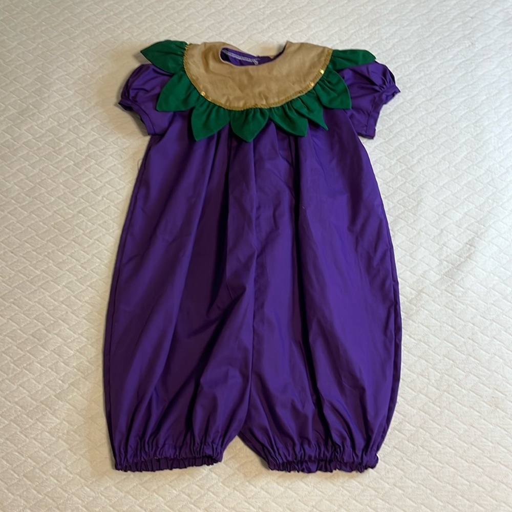 Eggplant Toddler costume, hand made, purple/green/gold, kids 3-4T